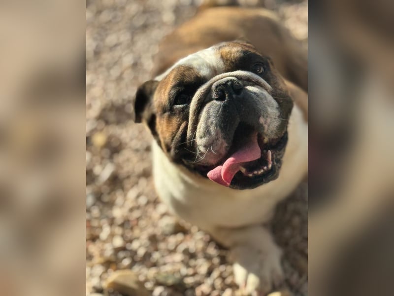 Notfall Manolo hofft auf seine Chance