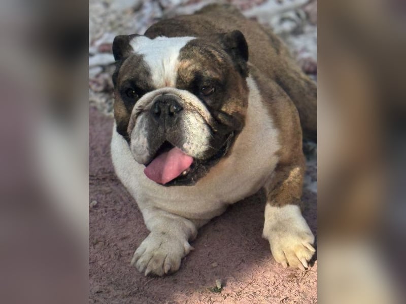 Notfall Manolo hofft auf seine Chance