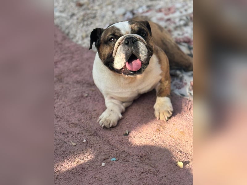 Notfall Manolo hofft auf seine Chance