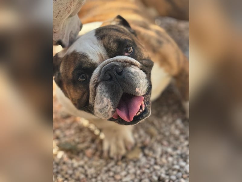 Notfall Manolo hofft auf seine Chance