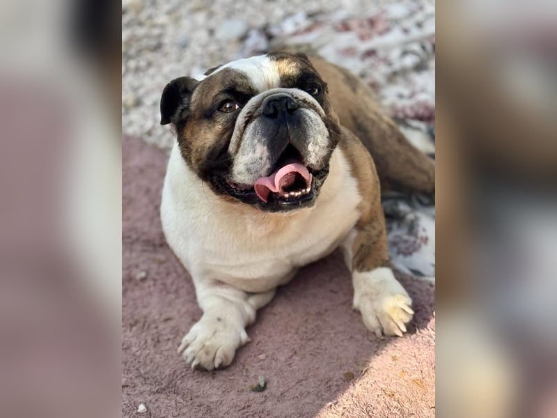 Notfall Manolo hofft auf seine Chance