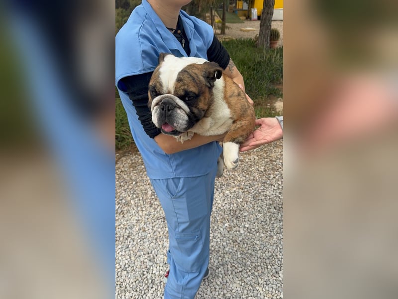 Notfall Manolo hofft auf seine Chance