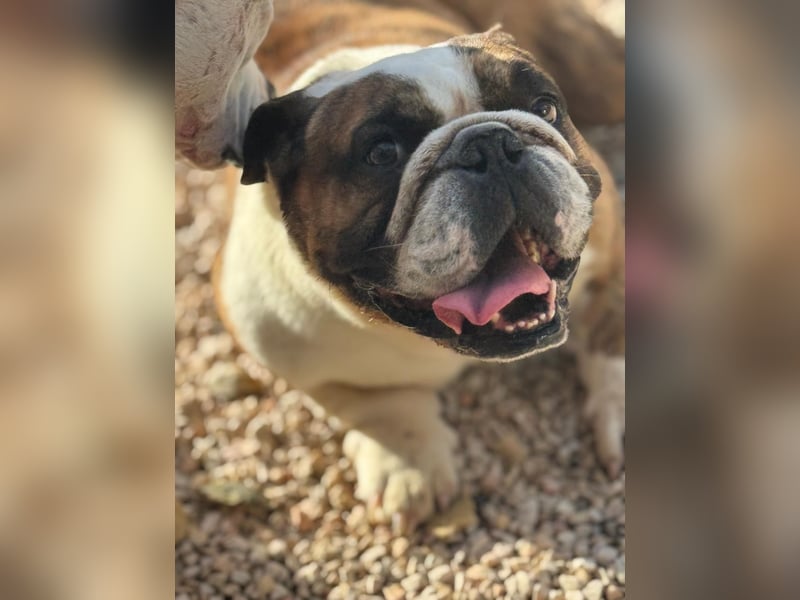 Notfall Manolo hofft auf seine Chance