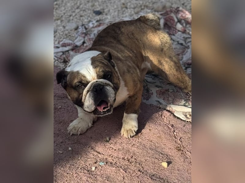 Notfall Manolo hofft auf seine Chance