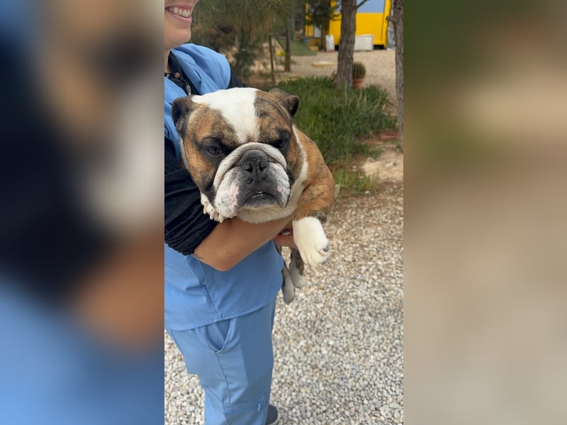 Notfall Manolo hofft auf seine Chance