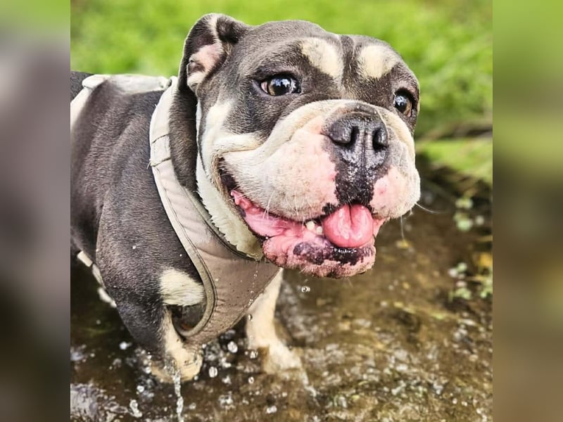 Sally - ist eine Einzelprinzessin