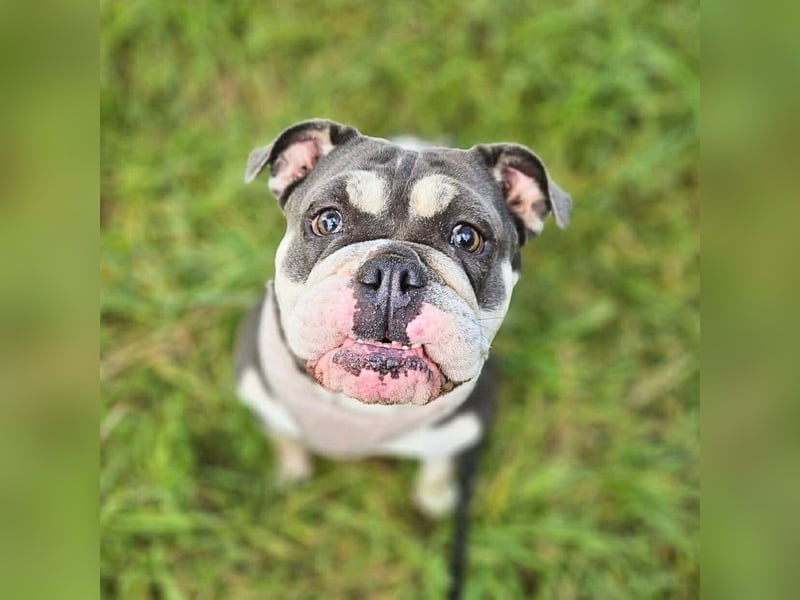 Sally - ist eine Einzelprinzessin