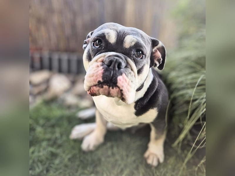 Sally - ist eine Einzelprinzessin