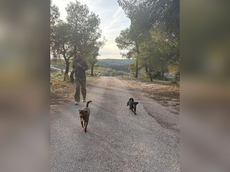 COCKE-verschmust, anhänglich, verspielt und sehr fit, sucht seine liebevolle Für-immer-Familie