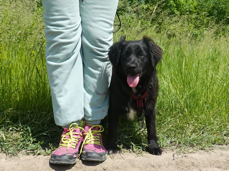Marley wünscht sich eine Familie