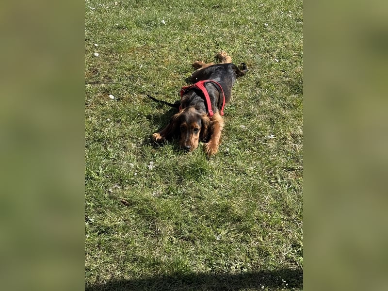 Lola suche neu Haus ❤️