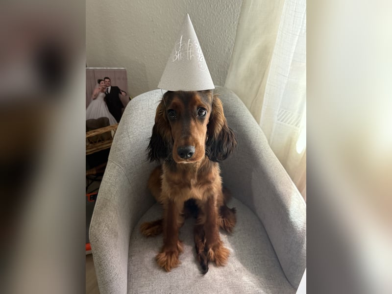 Lola suche neu Haus ❤️