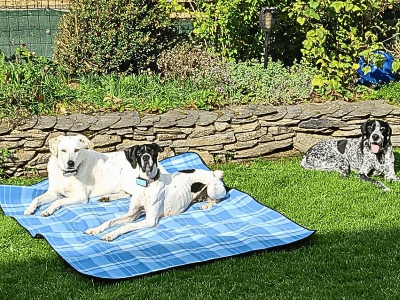 Dalton - Zeit endlich zur Ruhe zu kommen