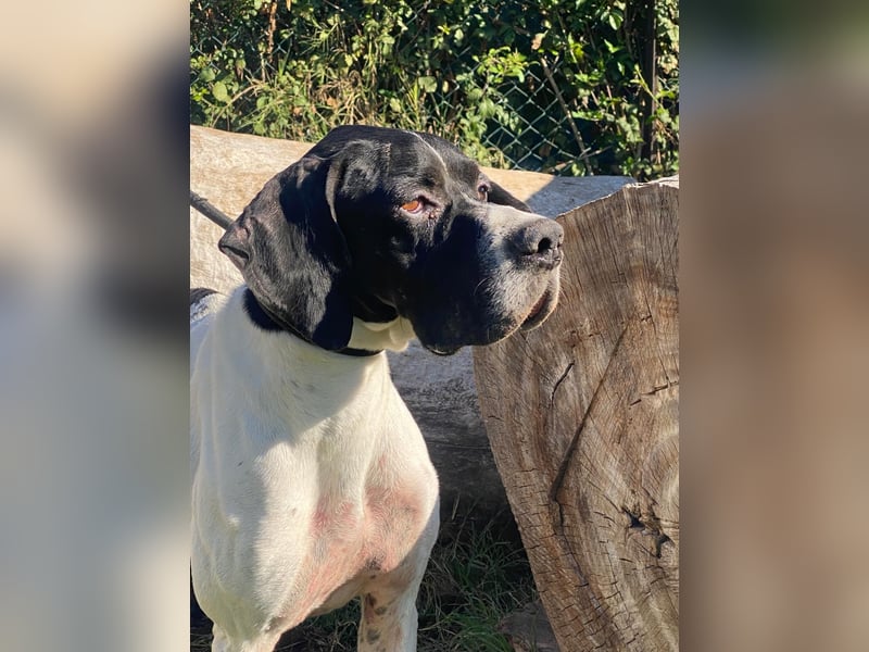 Dalton - Zeit endlich zur Ruhe zu kommen