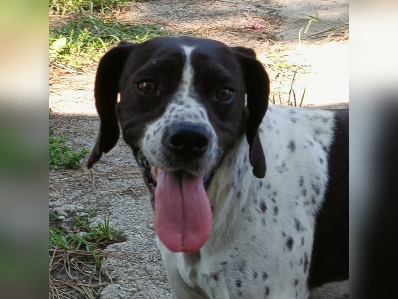 Sophia