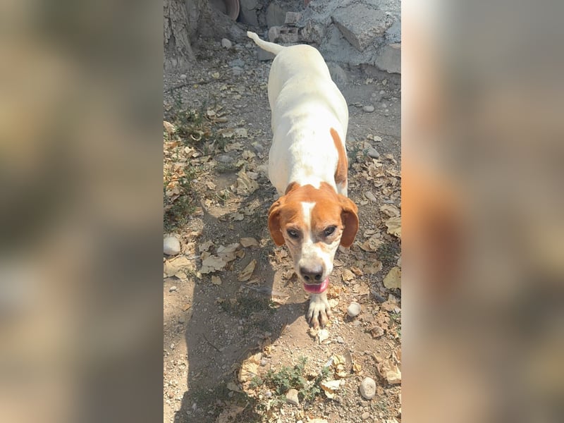 Esther, hofft auf ihr großes Glück