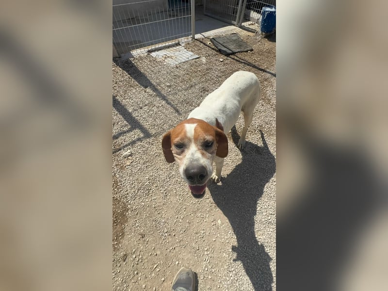 Esther, hofft auf ihr großes Glück