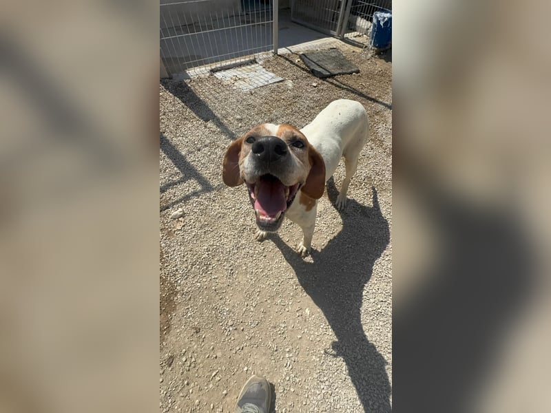 Esther, hofft auf ihr großes Glück