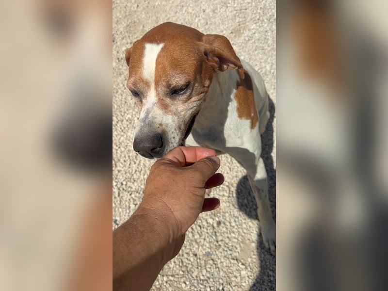 Esther, hofft auf ihr großes Glück
