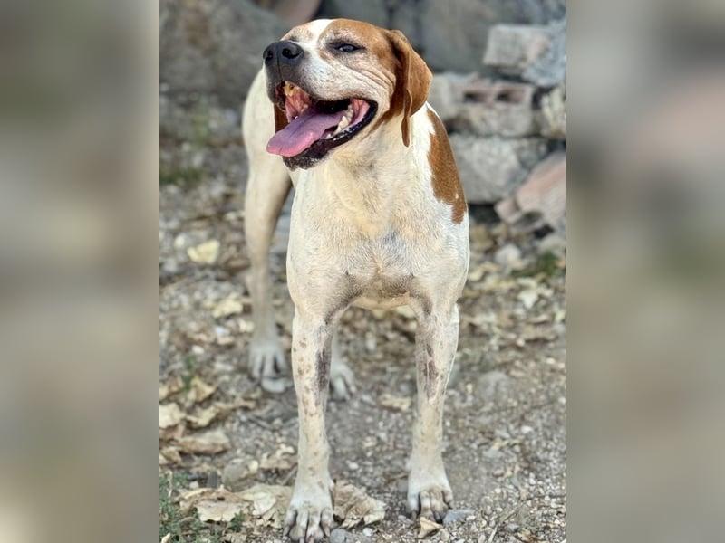 Esther, hofft auf ihr großes Glück