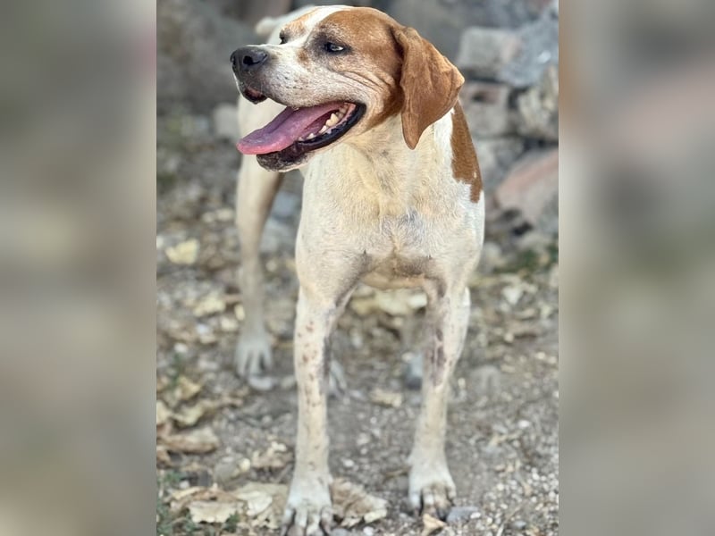 Esther, hofft auf ihr großes Glück