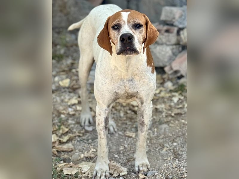 Esther, hofft auf ihr großes Glück