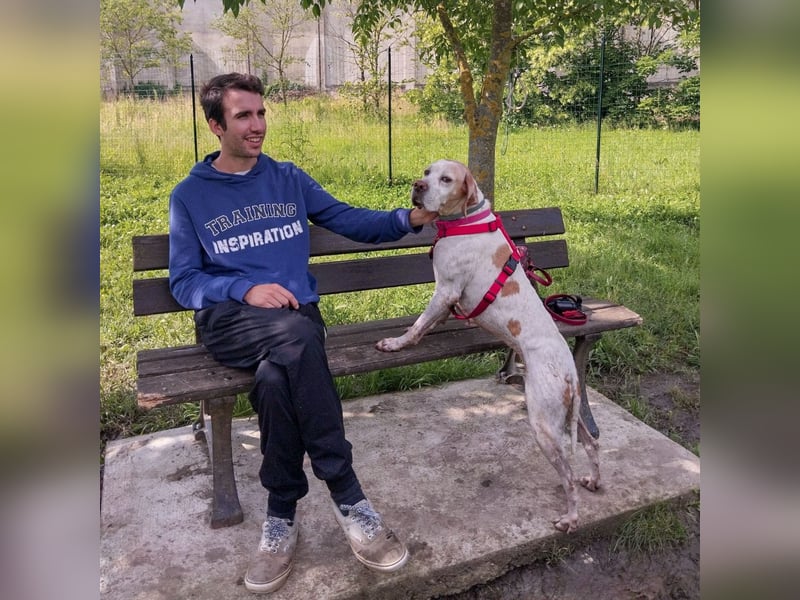 Asia - liebe, menschenbezogene Hundeomi