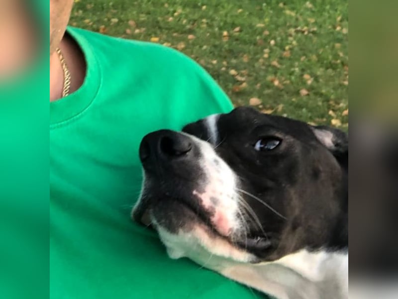 Stella  - glücklich mit Menschen - sagt Nein zur Jagd