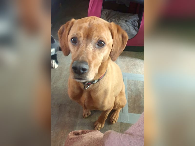 PUMBA – kleiner Prinz