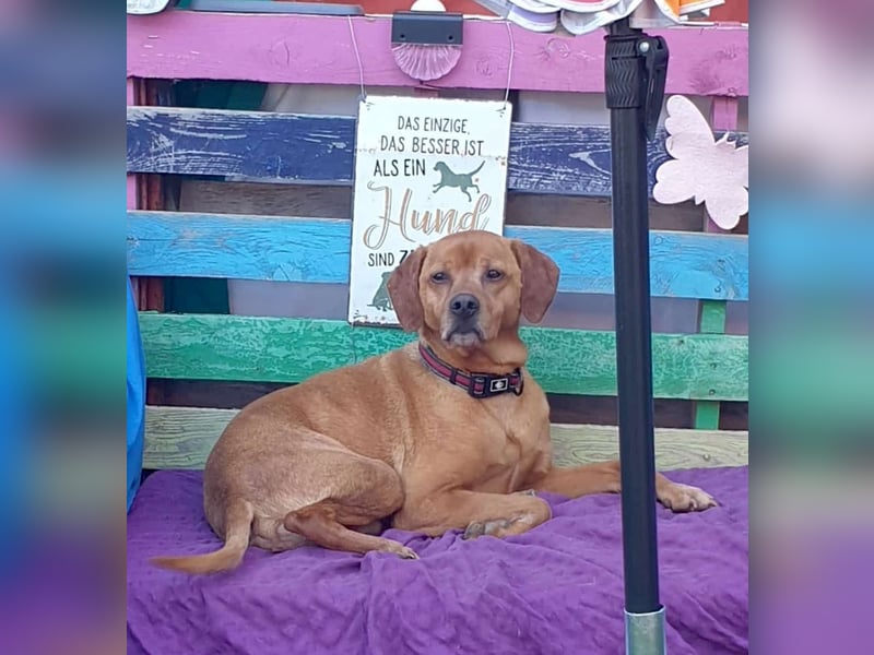 PUMBA – kleiner Prinz