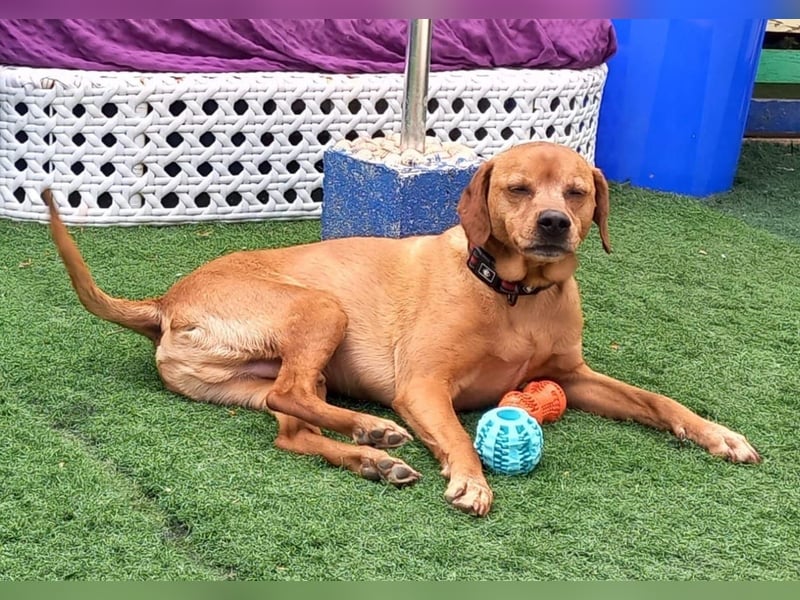 PUMBA – kleiner Prinz