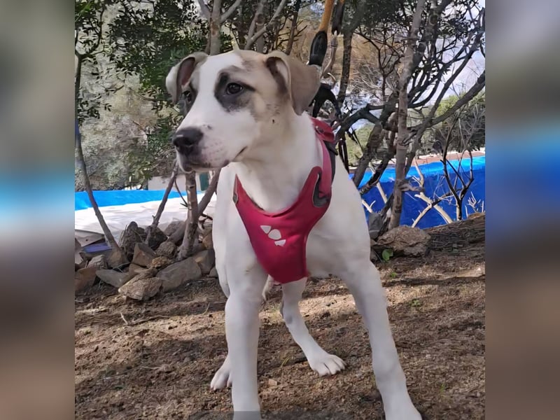 Nicoletta: vom Parkplatz ins schöne Leben