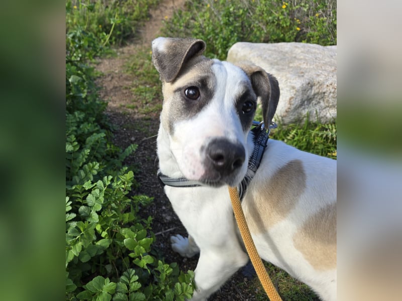 Nicoletta: vom Parkplatz ins schöne Leben