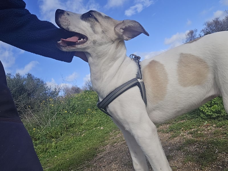 Nicoletta: vom Parkplatz ins schöne Leben