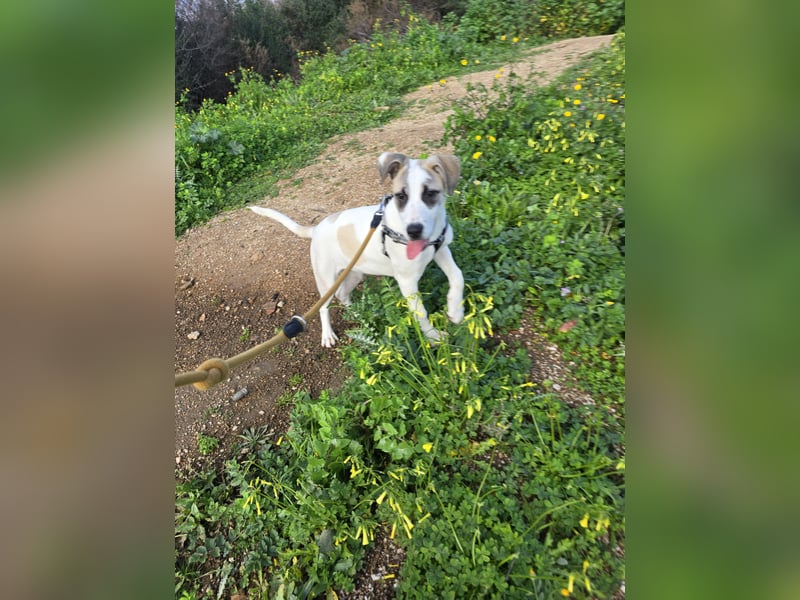 Nicoletta: vom Parkplatz ins schöne Leben