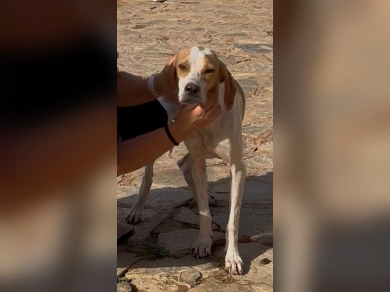 Merlin möchte mit seinen Menschen wachsen