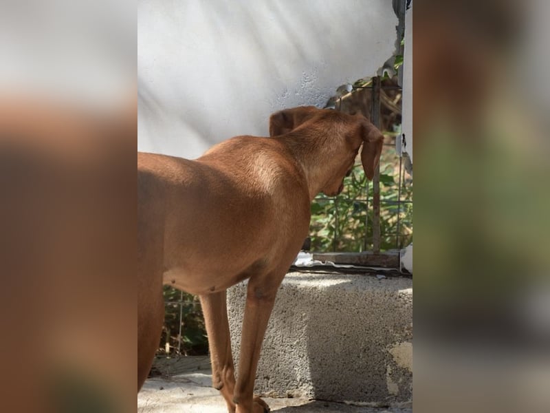 Danai, eine wundervolle Seele sucht ihre eigene Familie