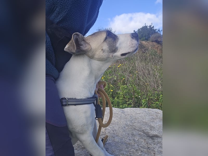 Nicoletta: vom Parkplatz ins schöne Leben