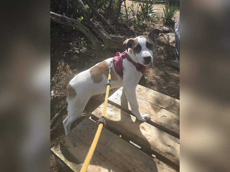 Nicolina: vom Parkplatz ins schöne Leben