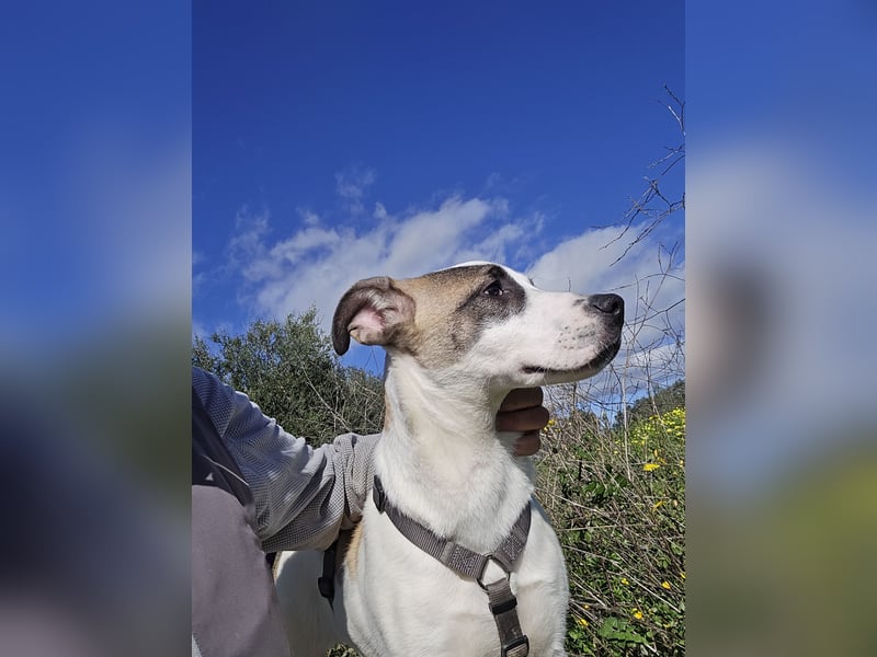 Nicolina: vom Parkplatz ins schöne Leben