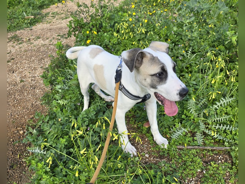 Nicoletta: vom Parkplatz ins schöne Leben