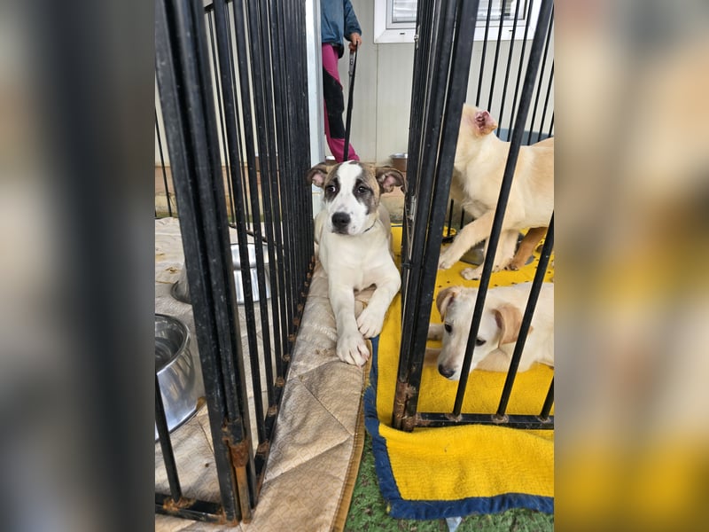 Nicolina: vom Parkplatz ins schöne Leben