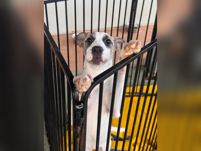 Nicoletta: vom Parkplatz ins schöne Leben