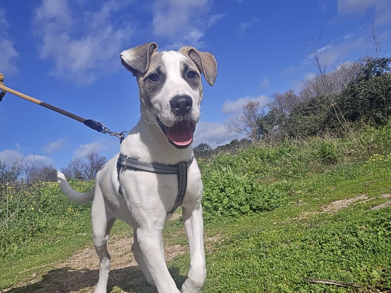 Nicoletta: vom Parkplatz ins schöne Leben