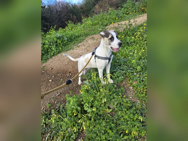 Nicoletta: vom Parkplatz ins schöne Leben