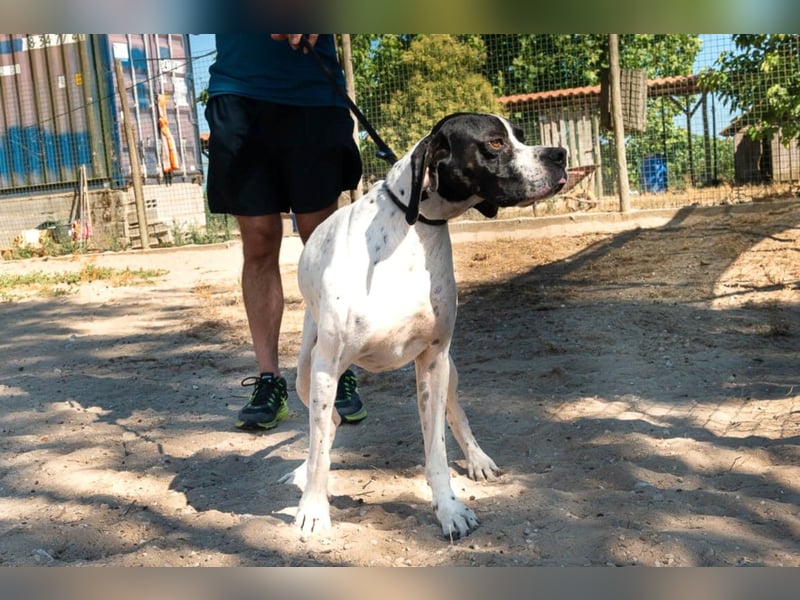 •|•  J•O•K•E•R  •|• Aktiv • Verspielt • Freundlich