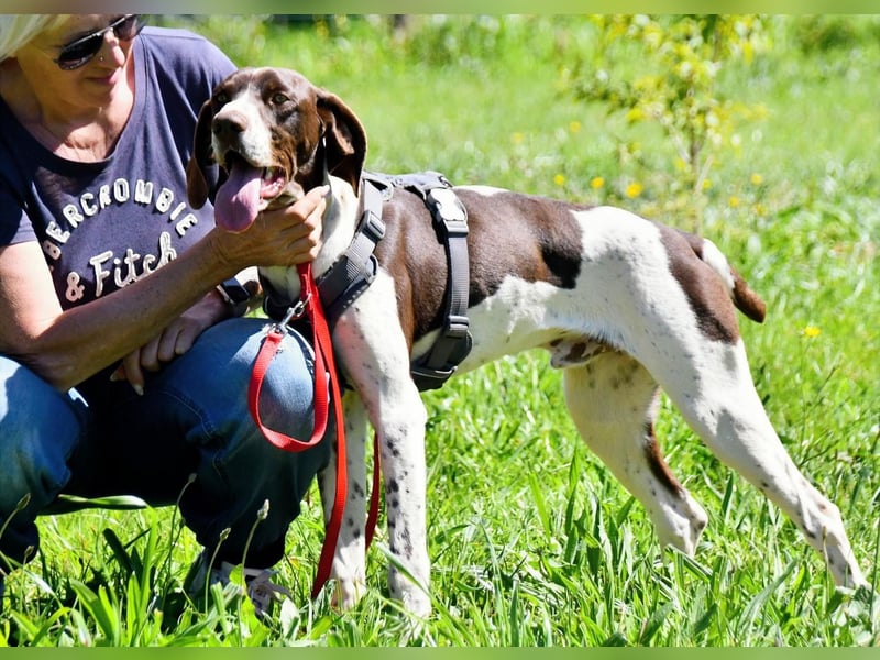 Scout – bereit für Abenteuer