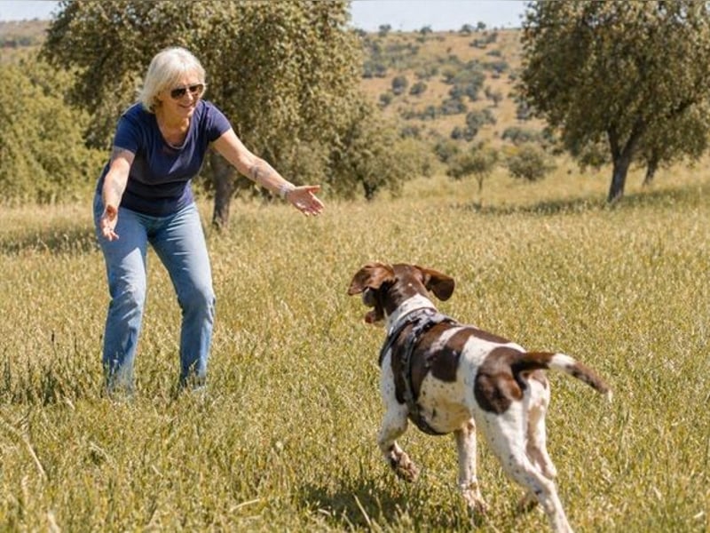 Scout – bereit für Abenteuer