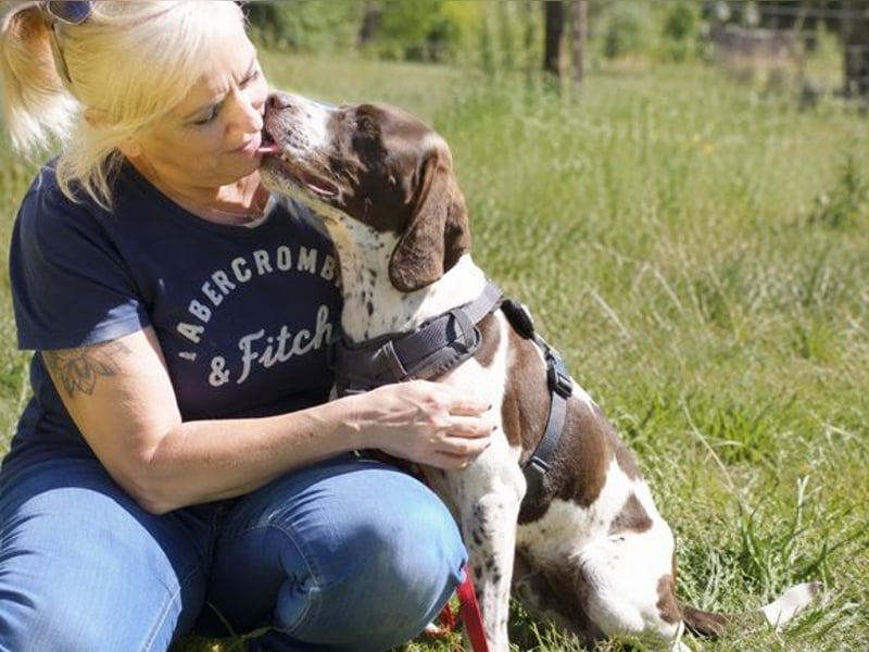 Scout – sensibler Jungspund sucht seine Menschen