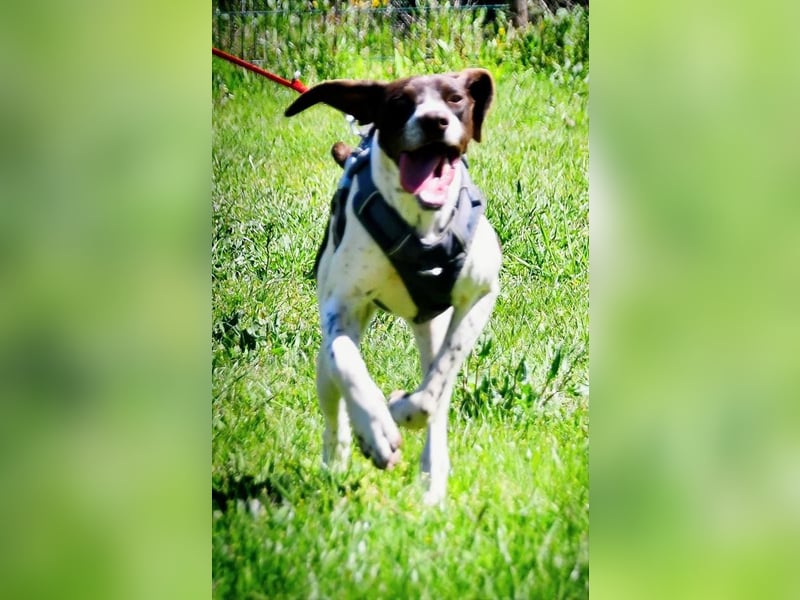 Scout – bereit für Abenteuer